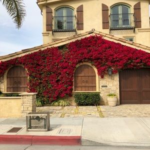 Meet your Posher, Maggie